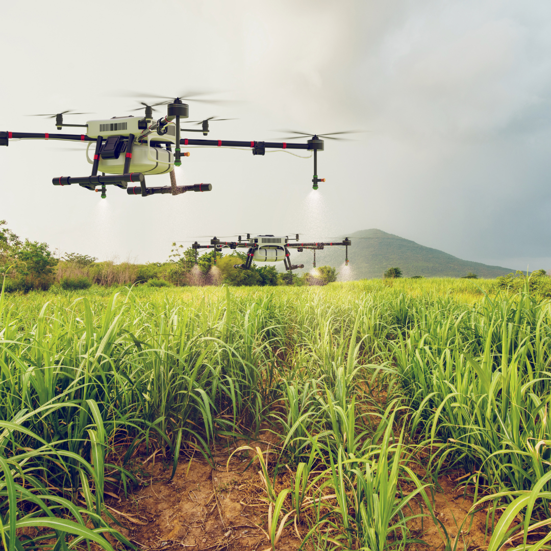 Building Networks with Purpose: Aligning Private Sector Investment with Government Nutrition Priorities