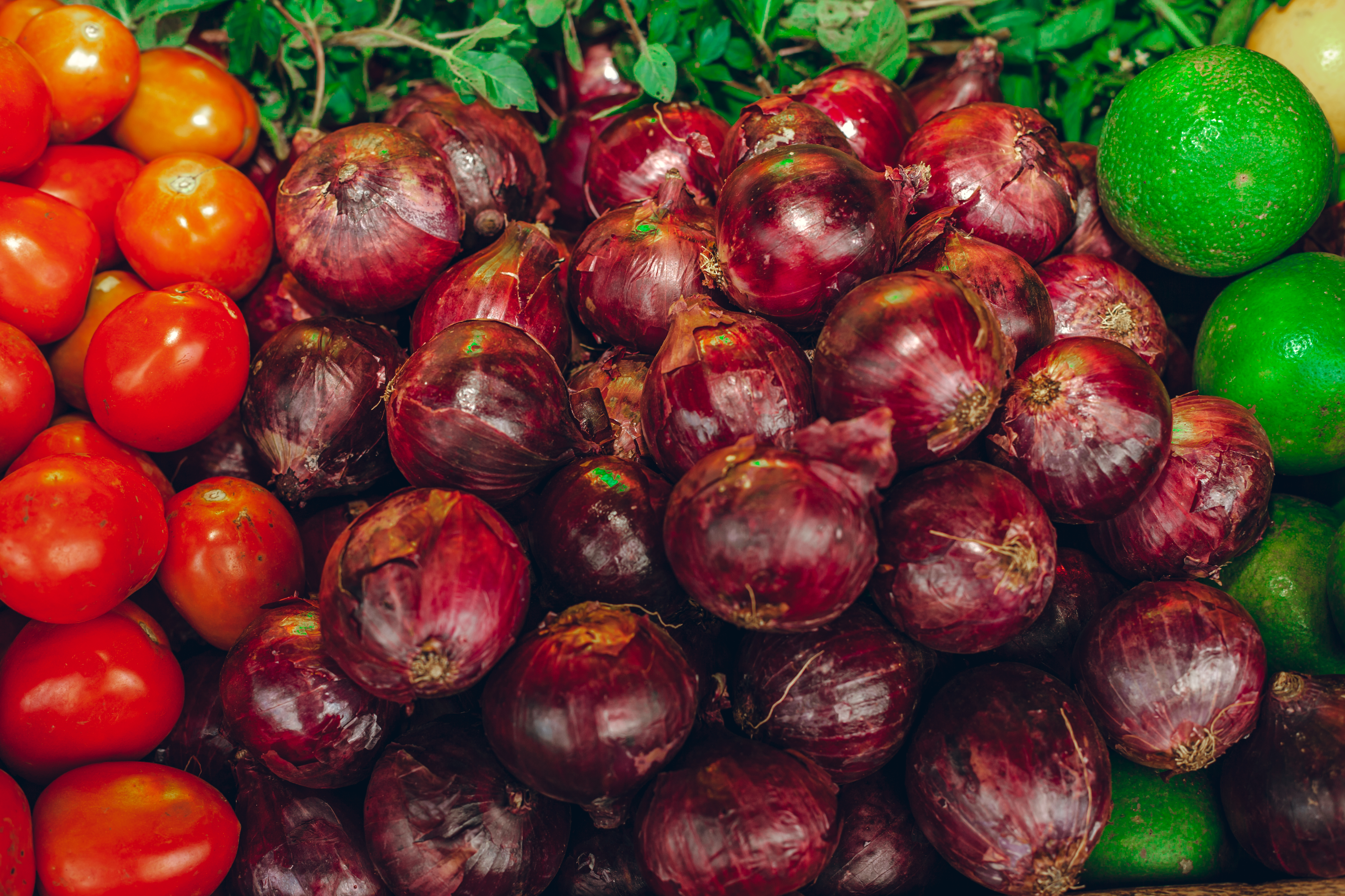 Safe Circular Food Systems: A Transdisciplinary Approach to Identify Emergent Risks in Food Waste Nutrient Cycling