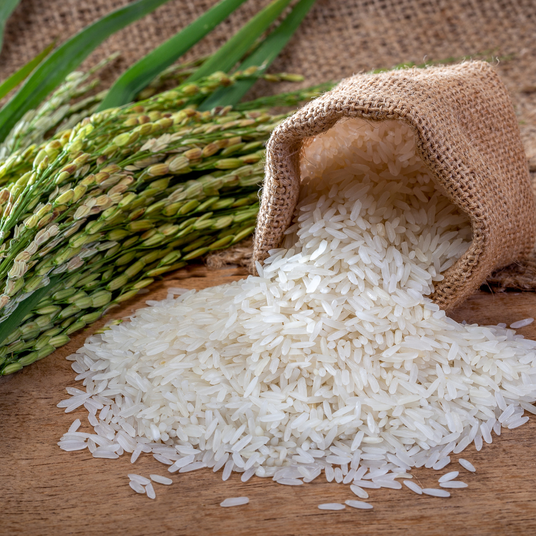 Rice: a potential vehicle for micronutrient fortifcation
