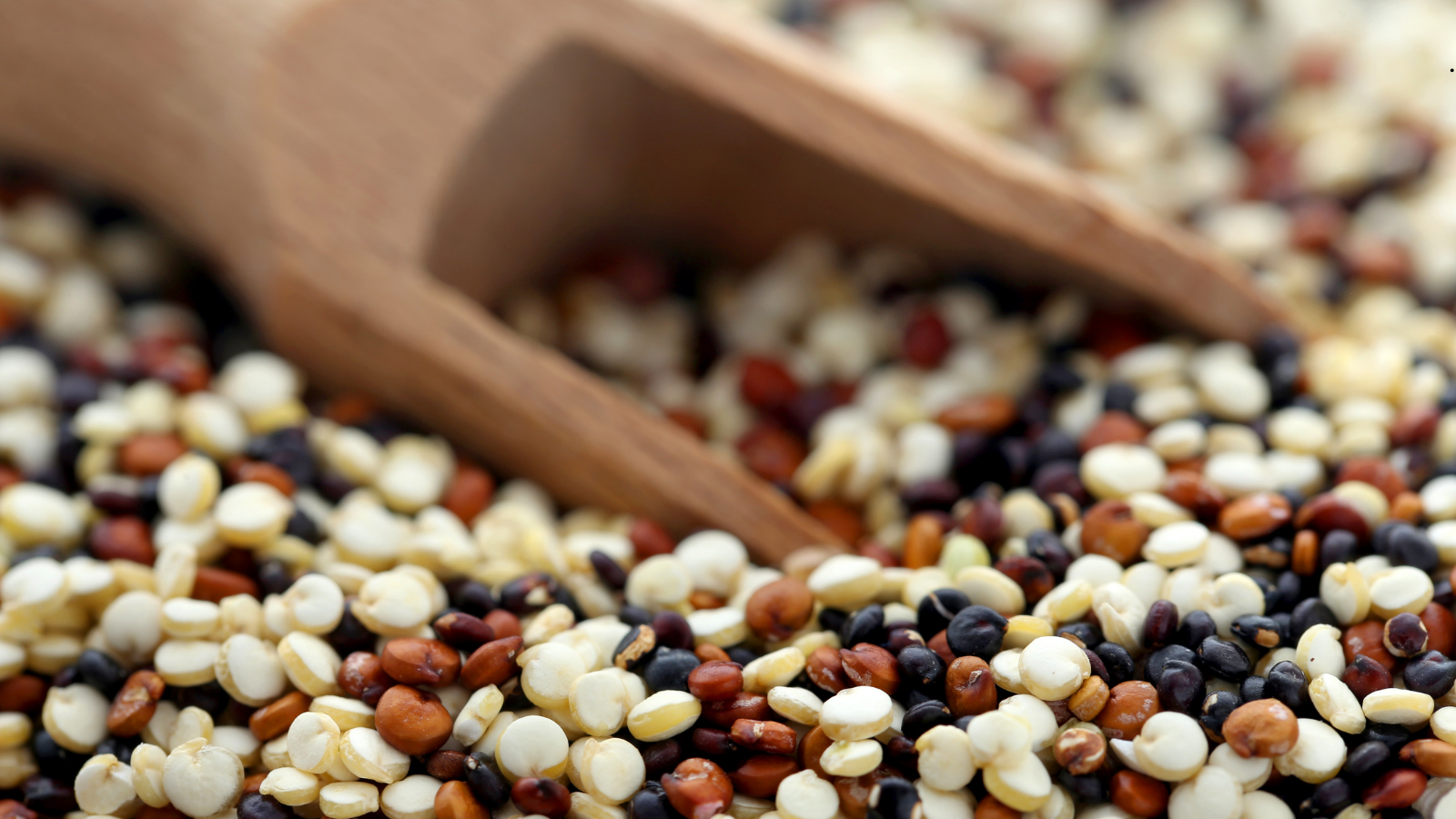 Strengthening National Control System in Liberia to Ensure Safety of Foods and Improve Trade