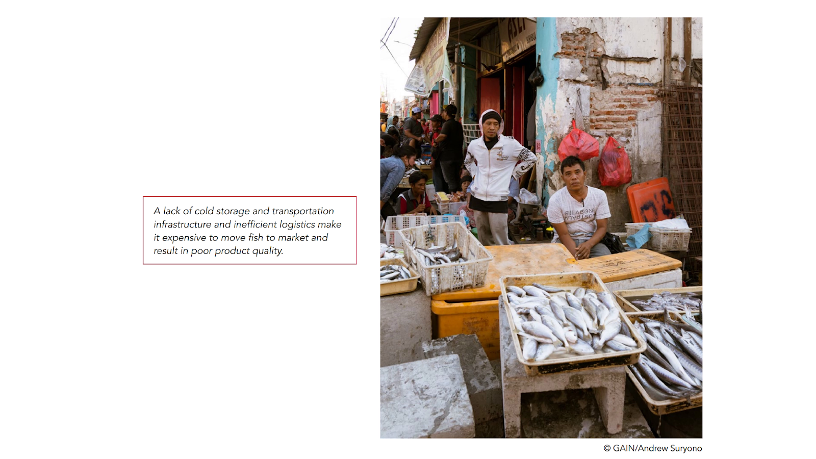 A group of men selling fish
Description automatically generated