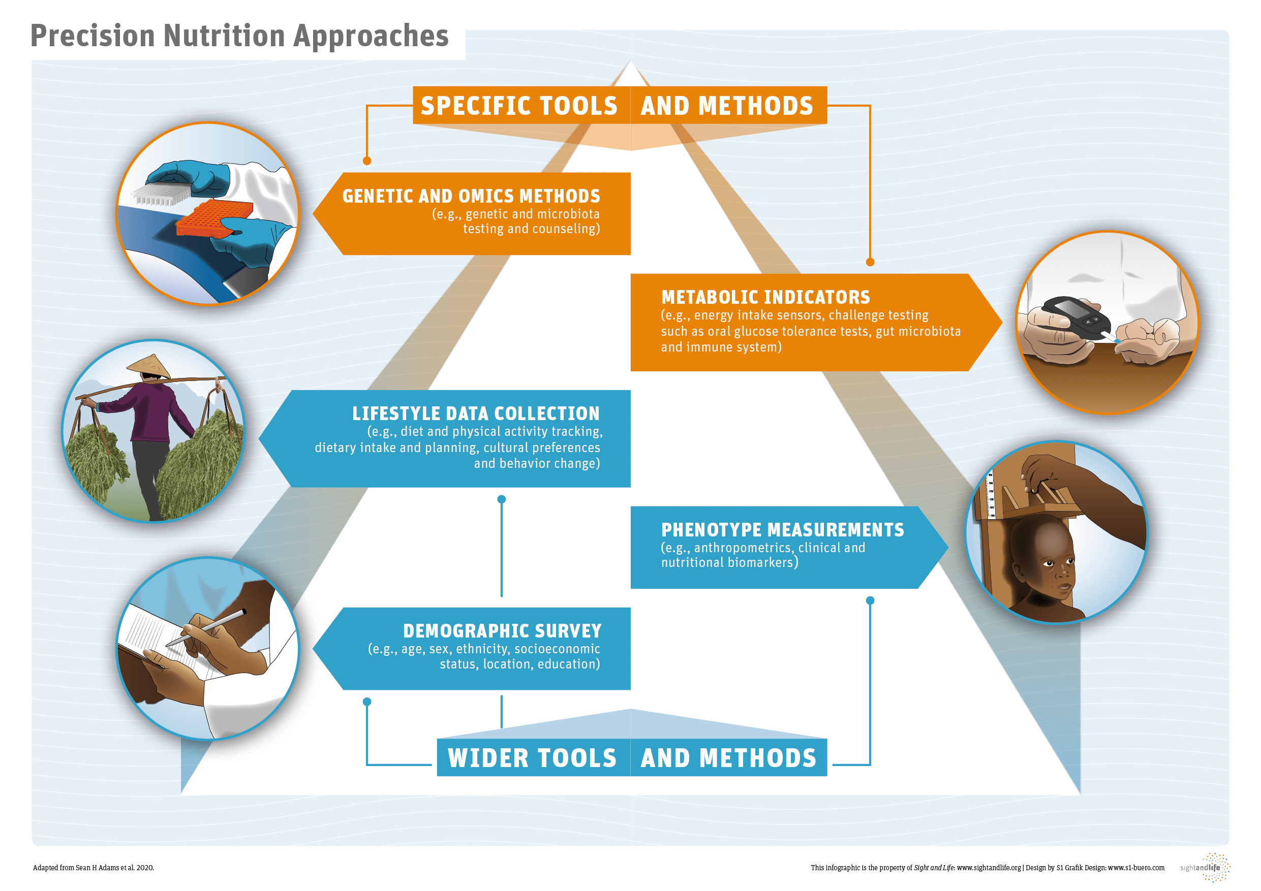 Precision Nutrition -Sight and Life Infographic