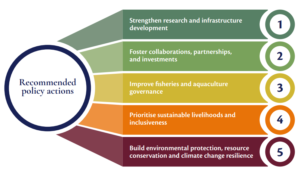 Five areas of recommended policy actions