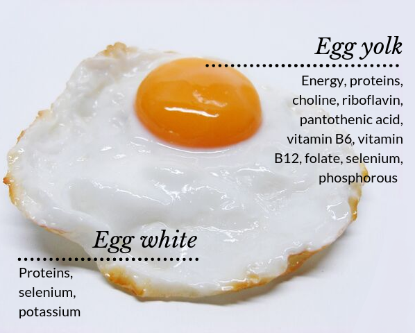 egg nutrition facts